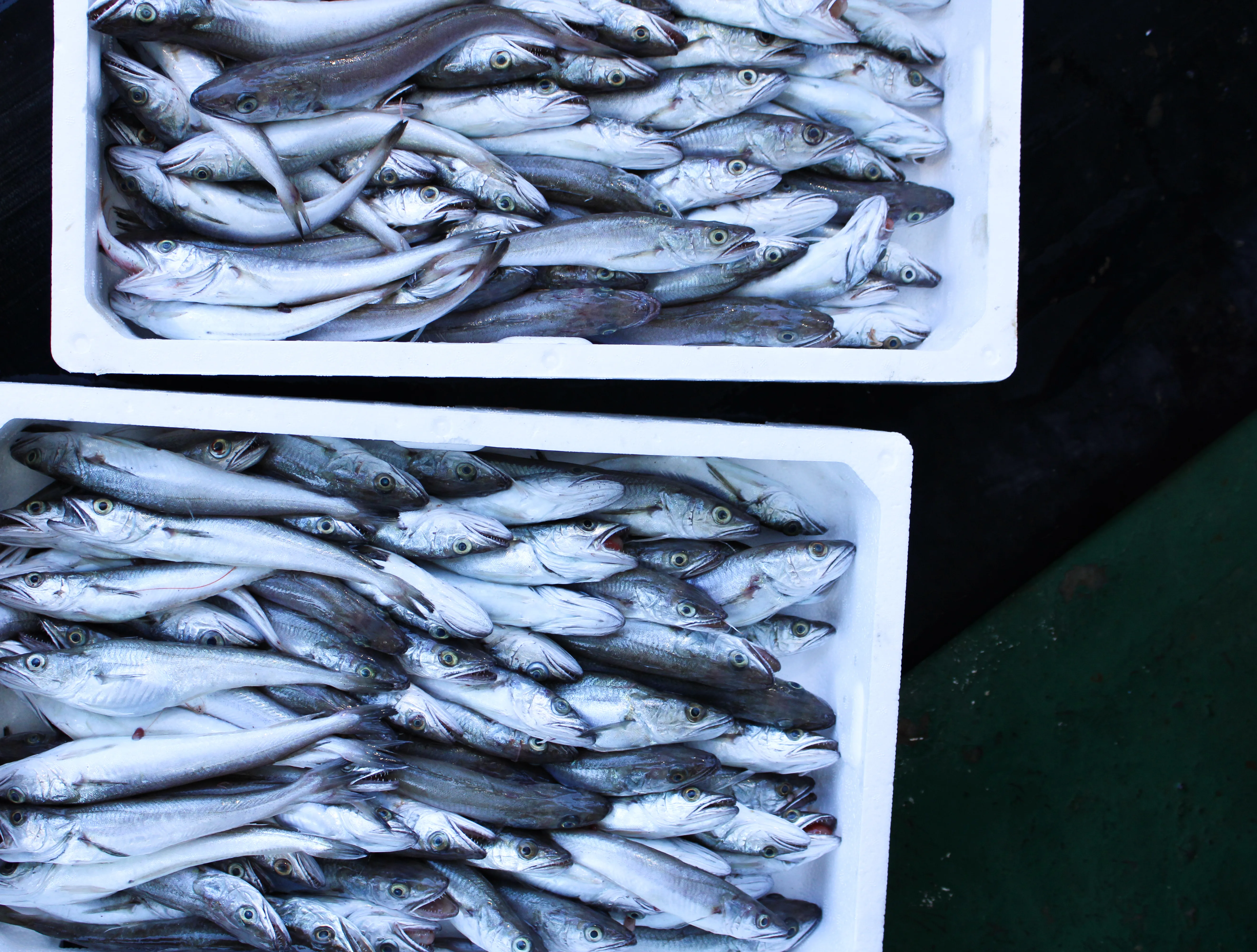 Für die Gastronomie