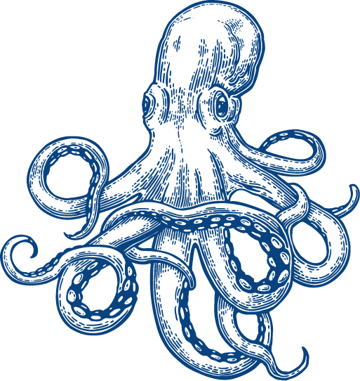 Oktopus