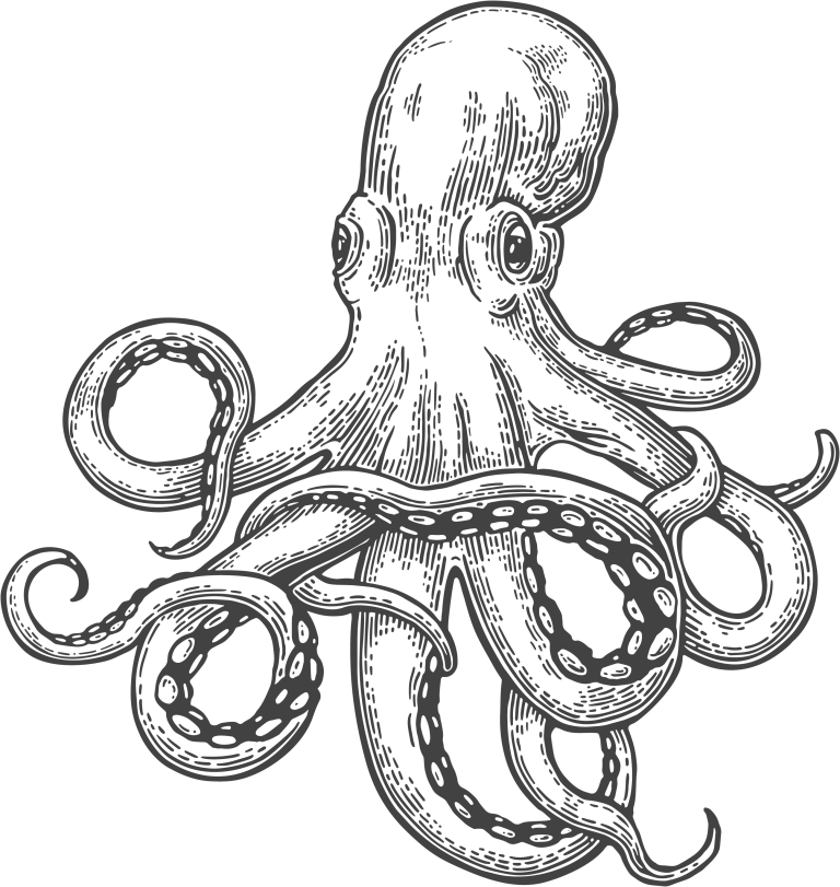 lat. Octopus vulgaris